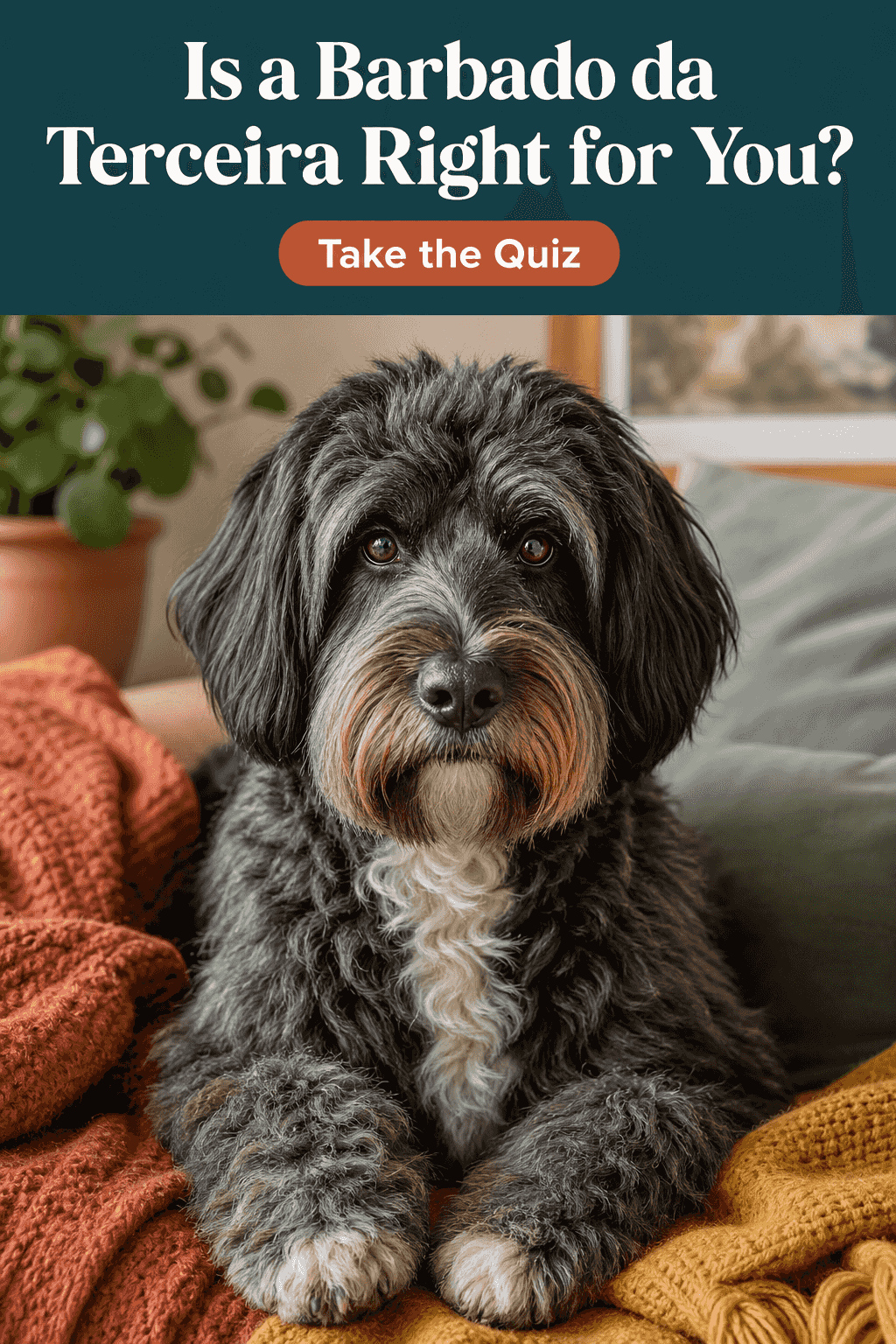 Is a Barbado da Terceira Right for You? Get a clear, no-fluff fit-check