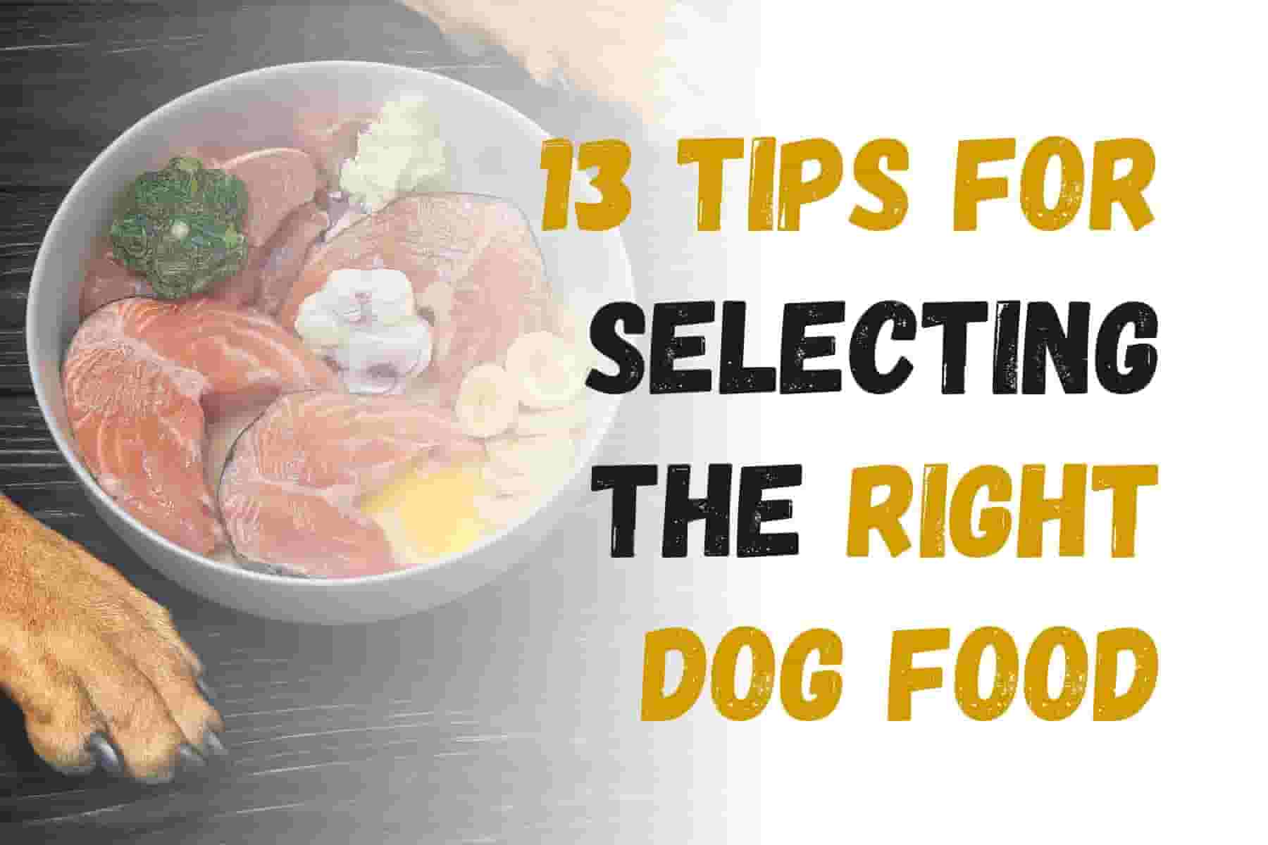 13 Tips to Choose the Right Dog Food for Your Pup
