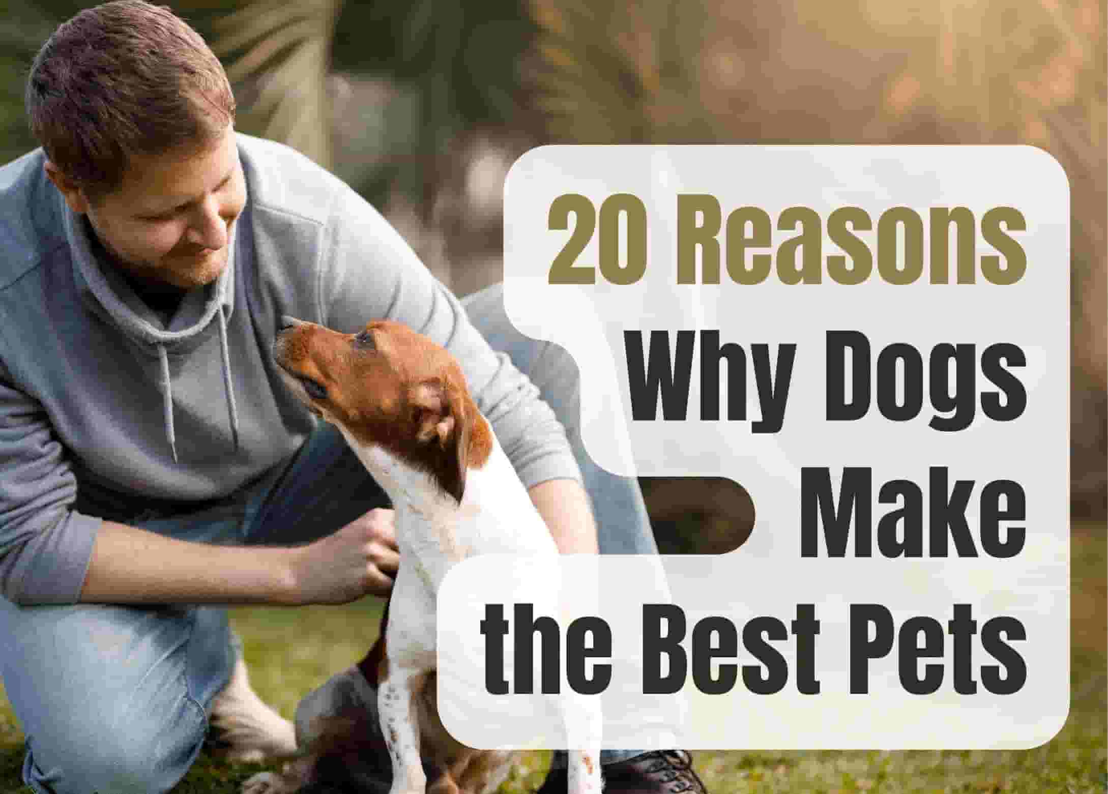 20 Reasons Dogs Make the Best Pets