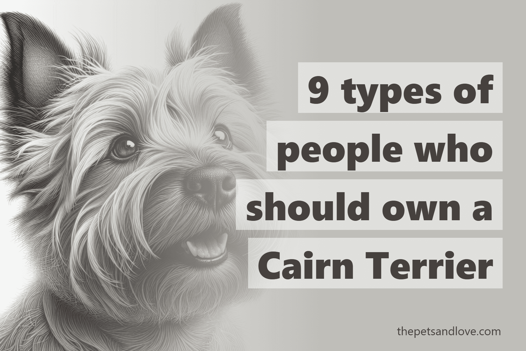 9 types of people who should own a Cairn Terrier