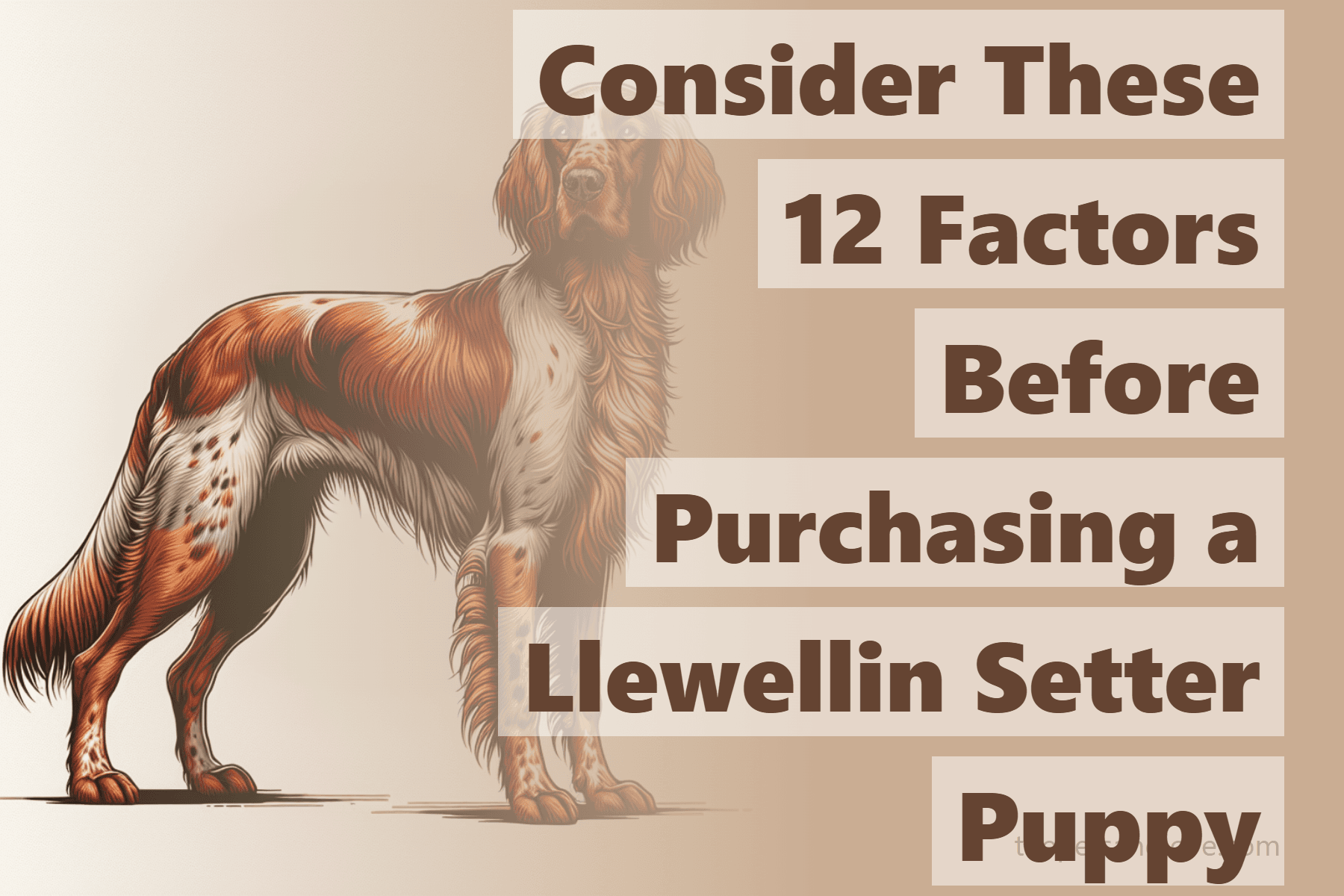 Consider These 12 Factors Before Purchasing a Llewellin Setter Puppy