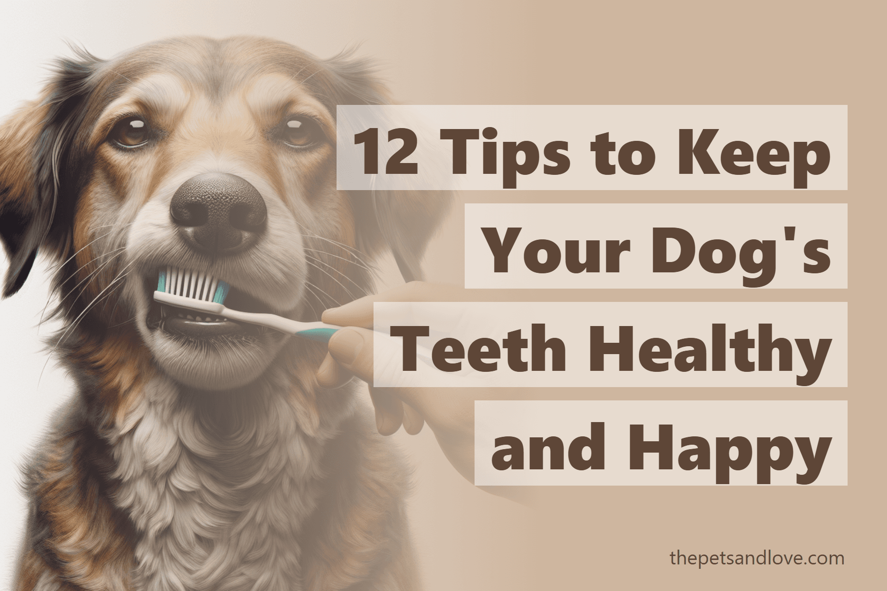 12 Tips to Keep Your Dog's Teeth Healthy and Happy
