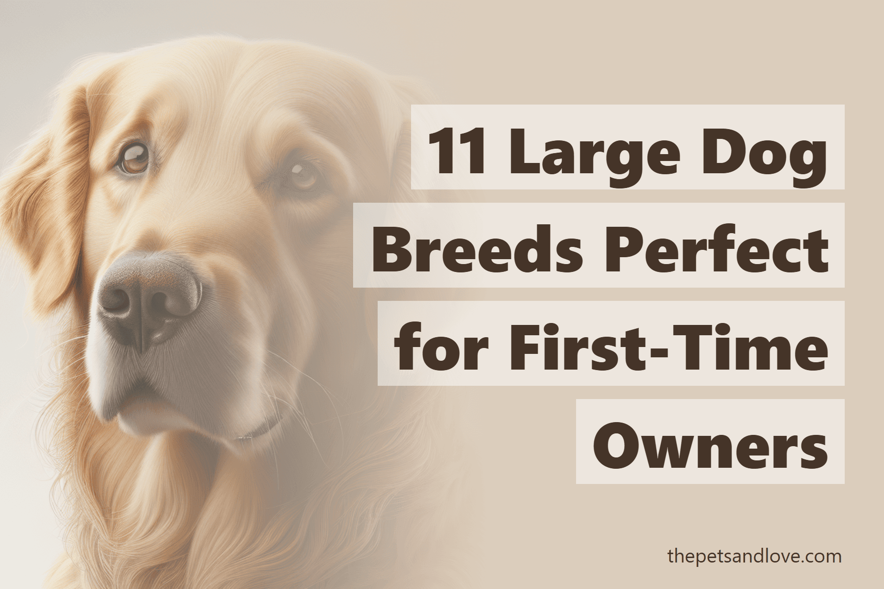 11 Large Dog Breeds Perfect for First-Time Owners