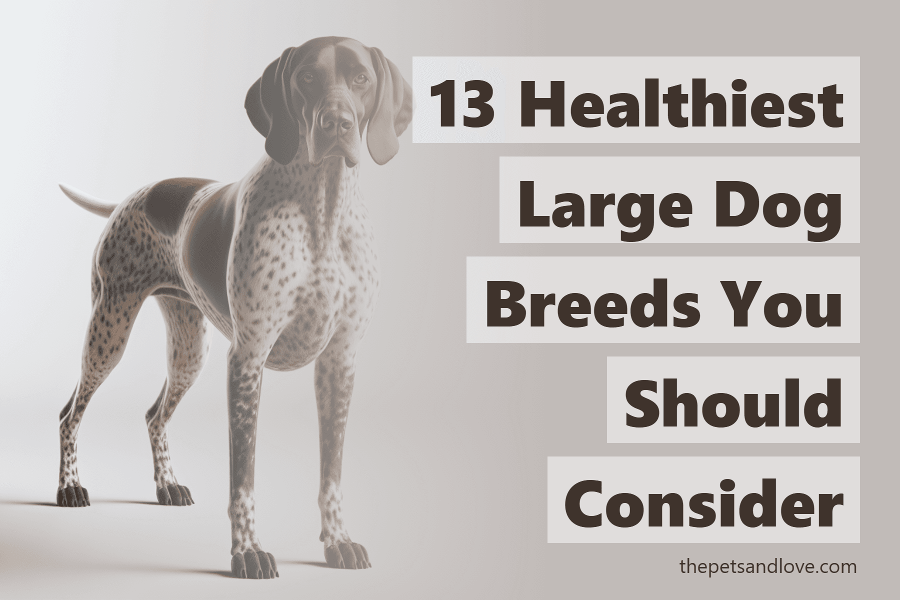 13 Healthiest Large Dog Breeds You Should Consider