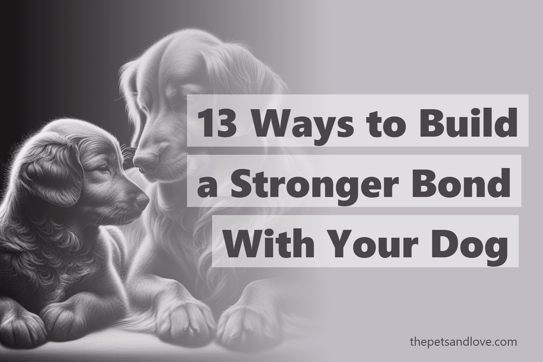 13 Ways to Build a Stronger Bond With Your Dog