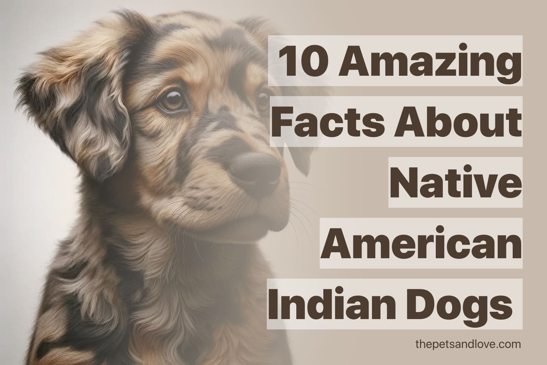 10 things to know before getting a Native American Indian Dog
