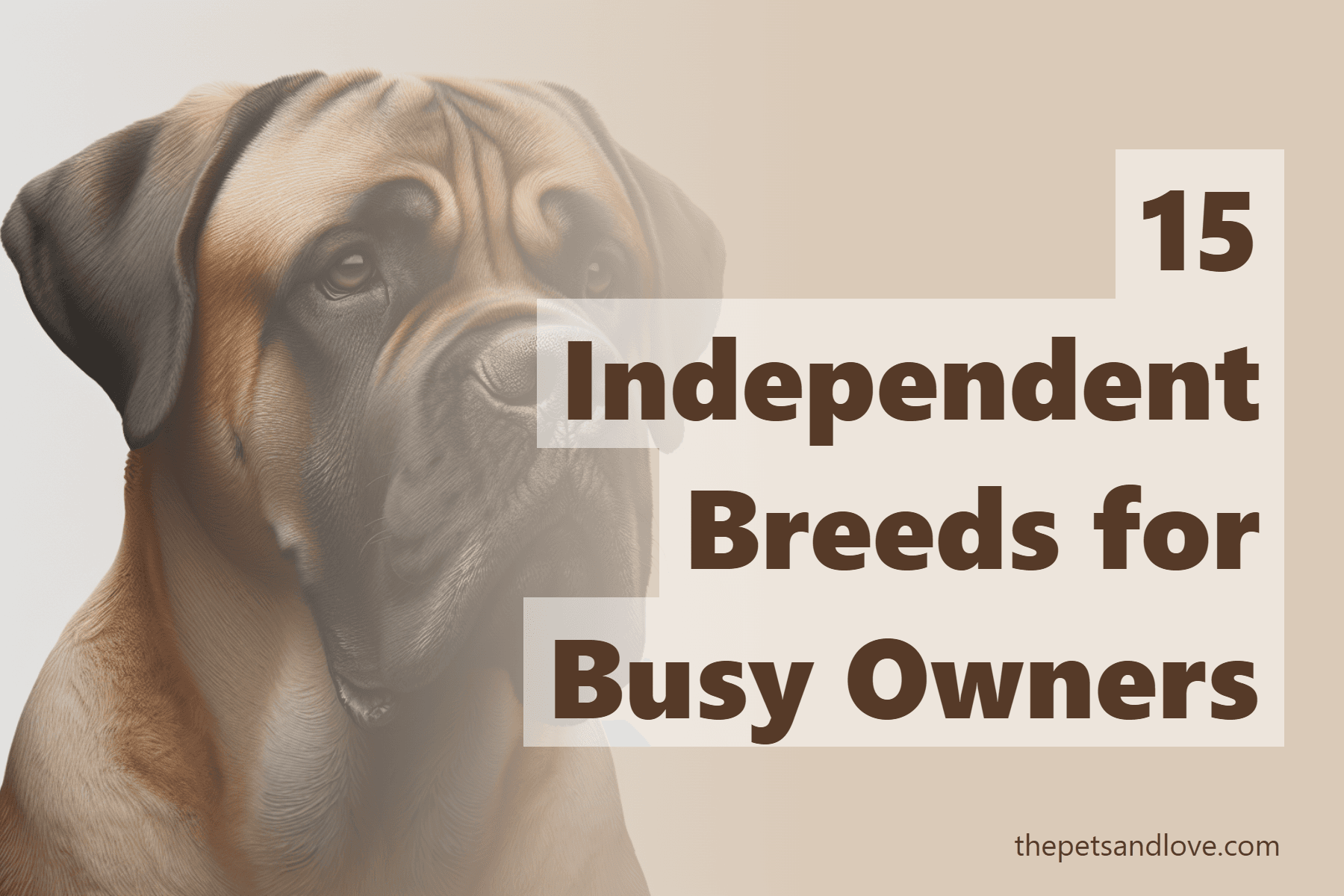 15 Independent Breeds for Busy Owners
