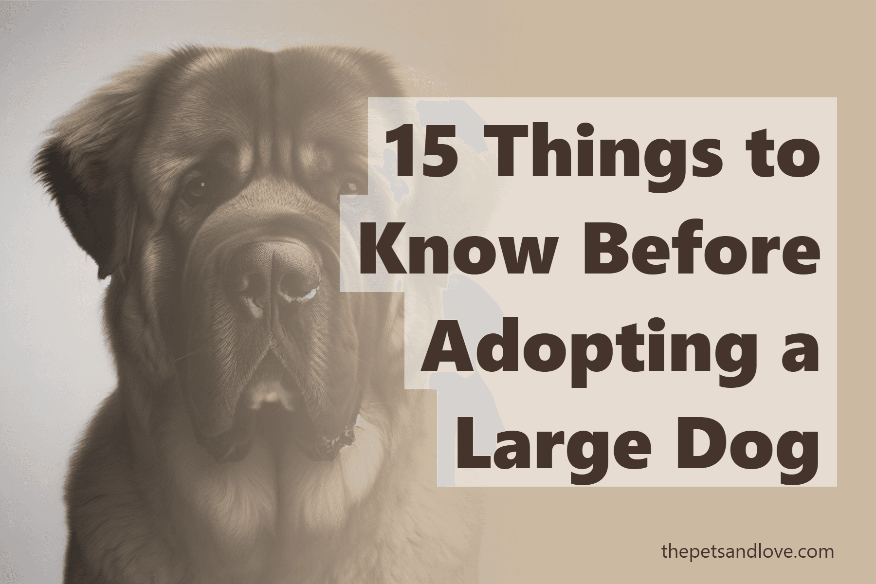 15 Things to Know Before Adopting a Large Dog