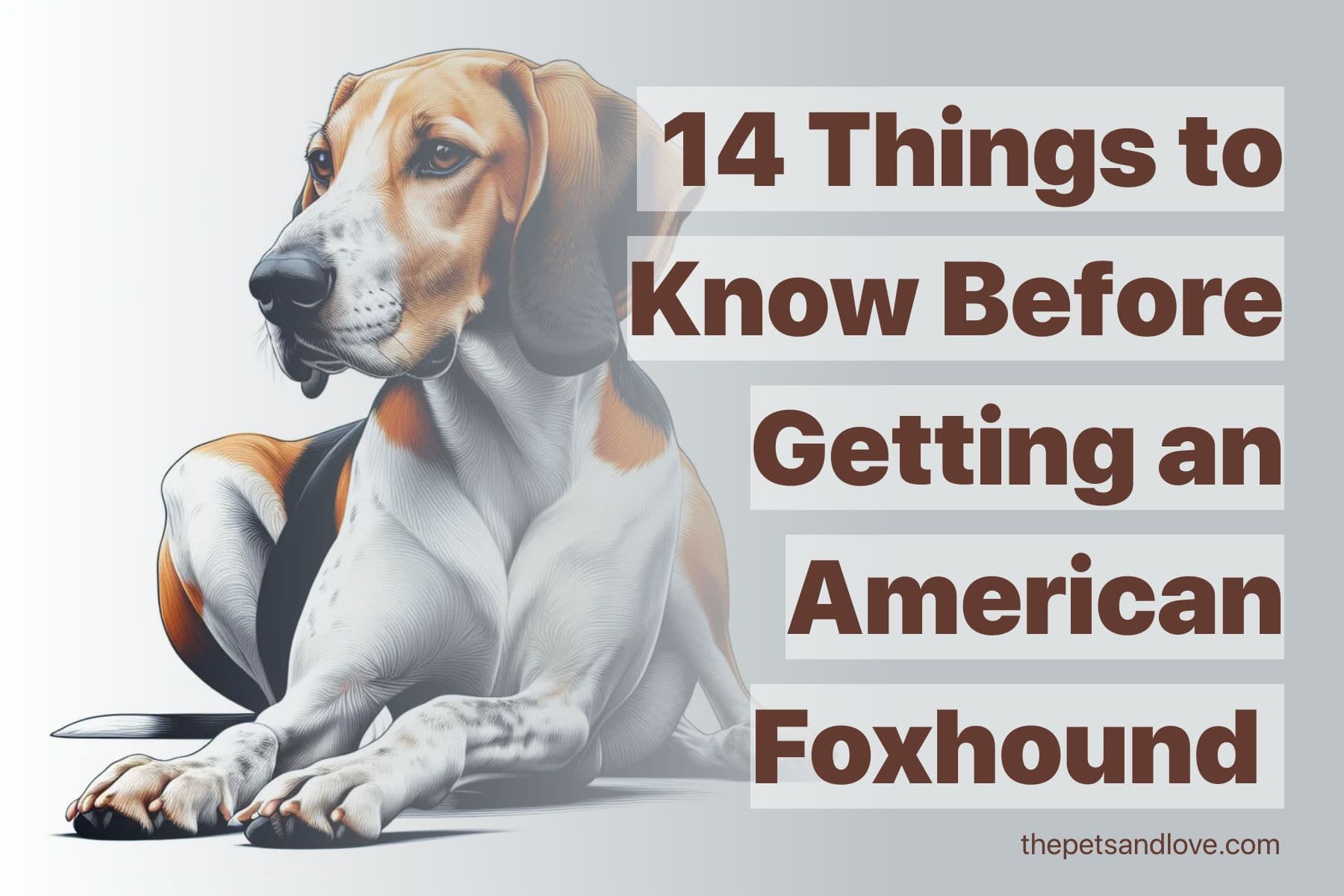 What You Should Know Before Adopting an American Foxhound