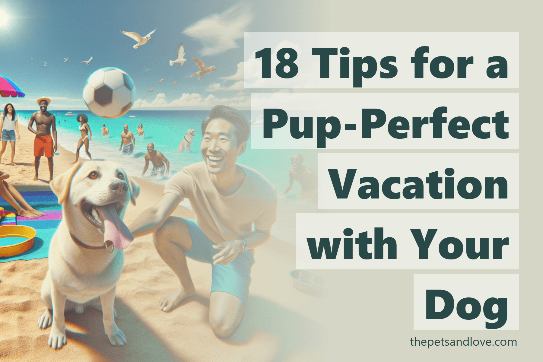 18 Tips for a Pup-Perfect Vacation with Your Dog