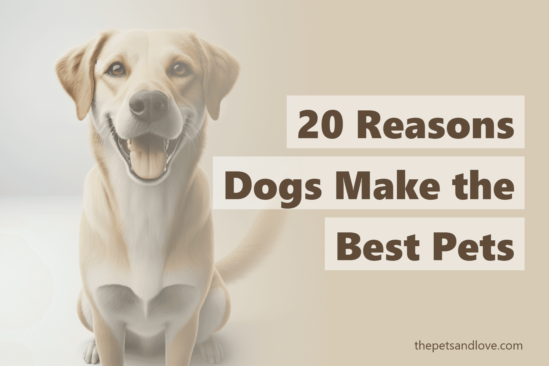 20 Reasons Dogs Make the Best Pets