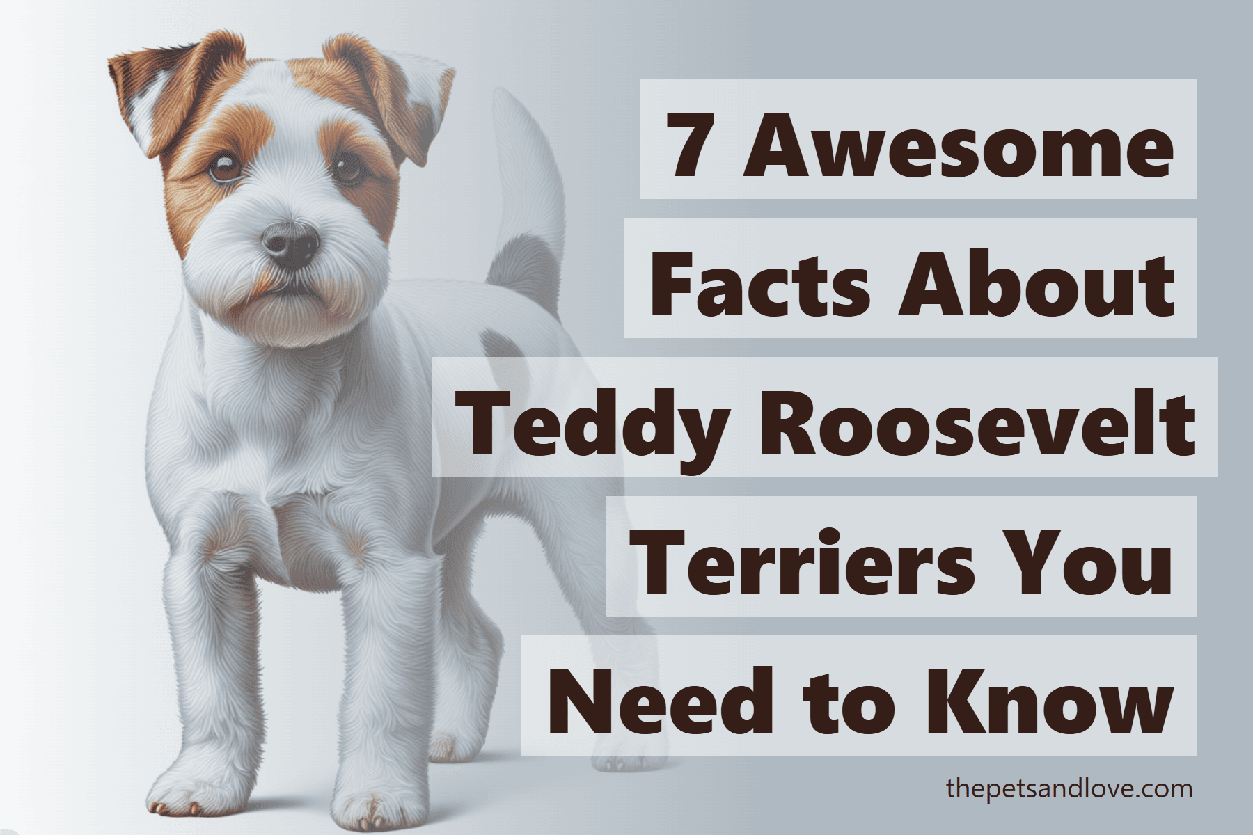 7 Awesome Facts About Teddy Roosevelt Terriers You Need to Know