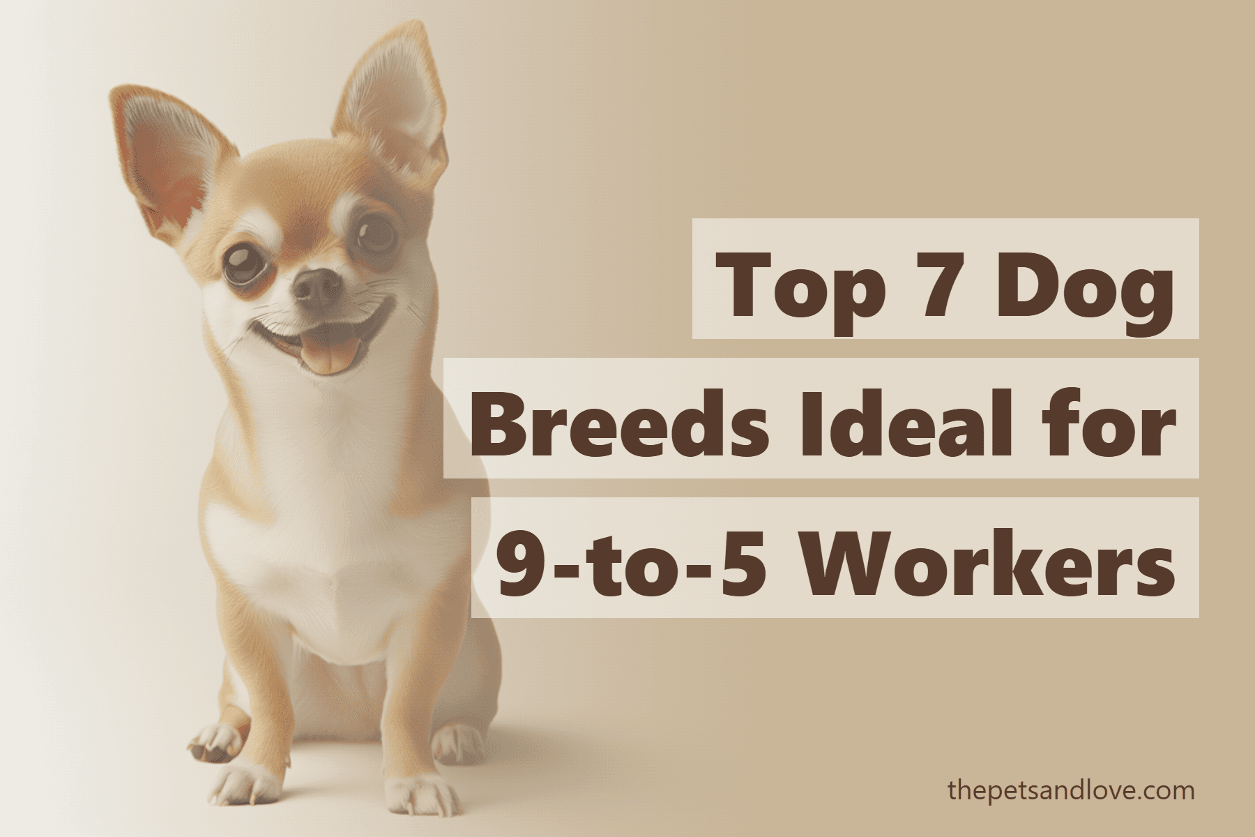 Top 7 Dog Breeds Ideal for 9-to-5 Workers