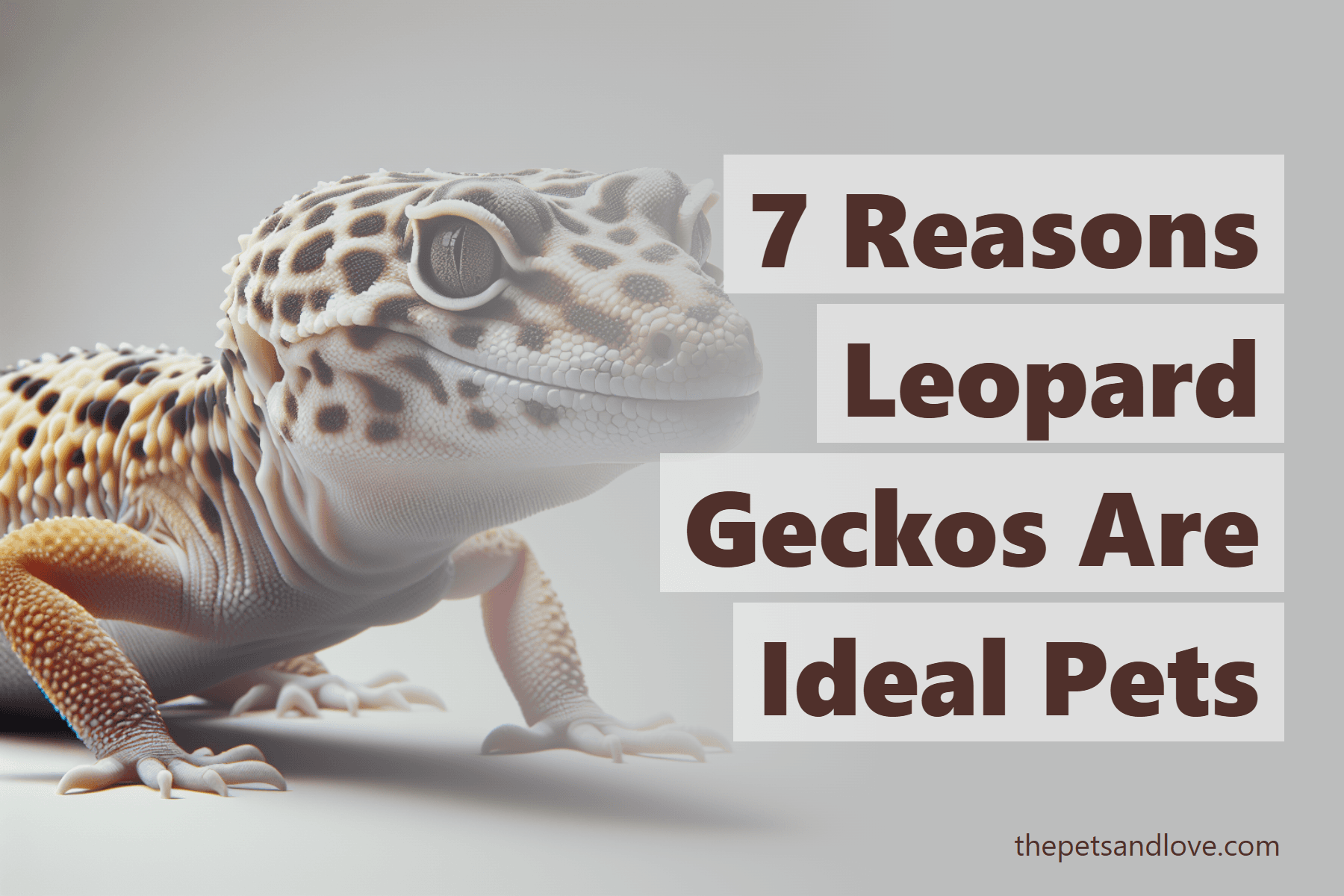 7 Reasons Leopard Geckos Are Ideal Pets