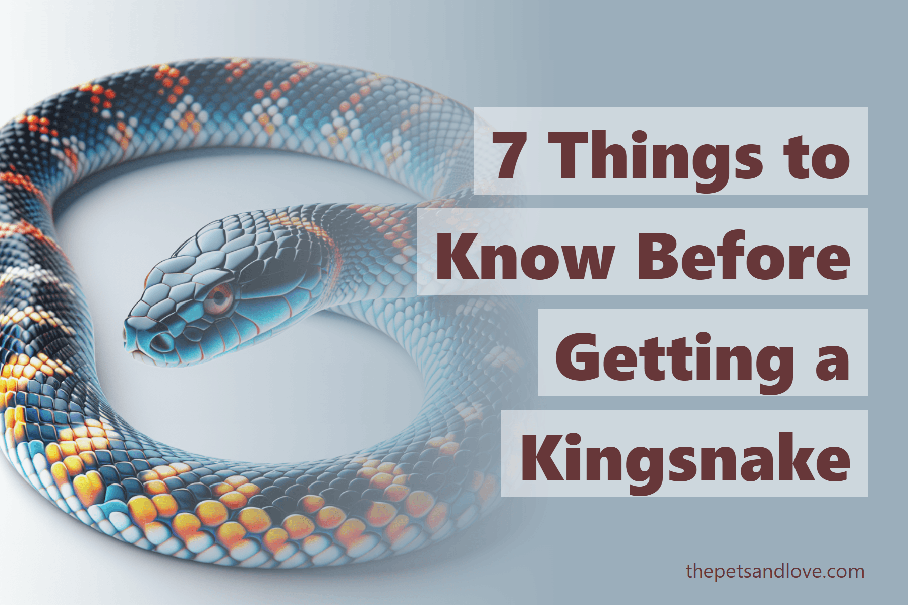 7 Things to Know Before Getting a Kingsnake