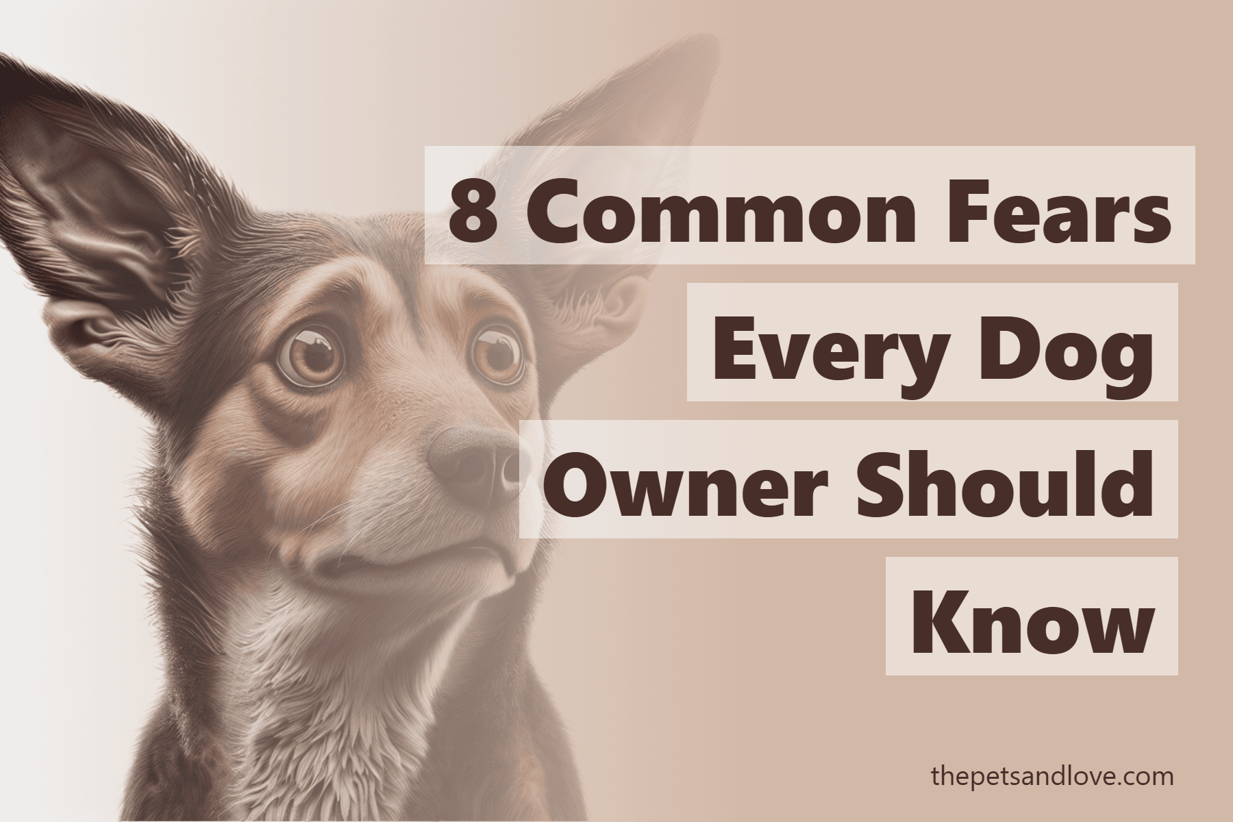 8 Common Fears Every Dog Owner Should Know