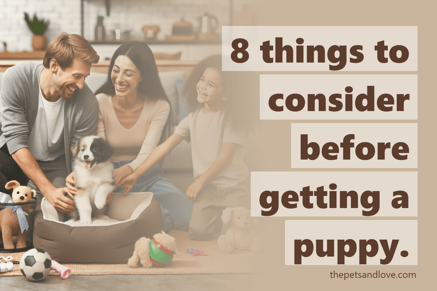 8 things to consider before getting a puppy.