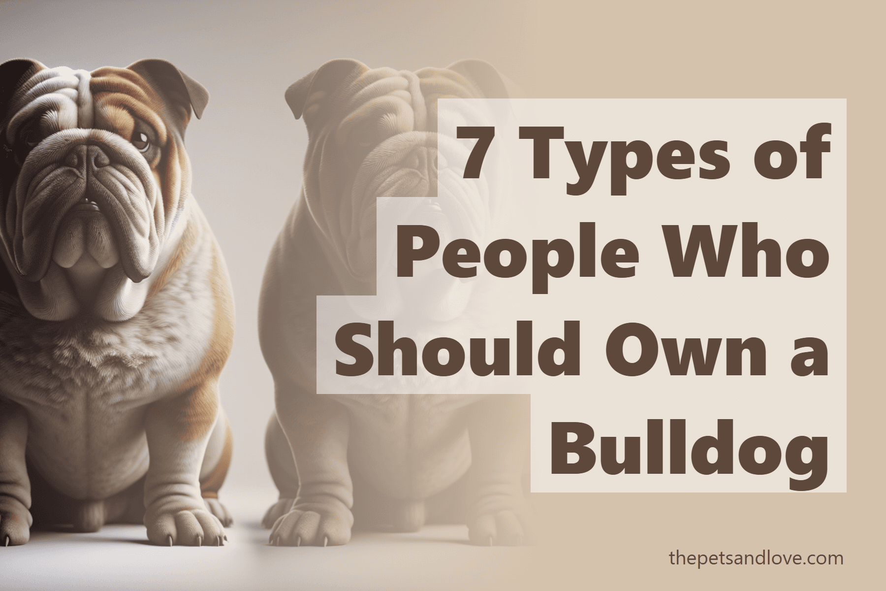7 Types of People Who Should Own a Bulldog