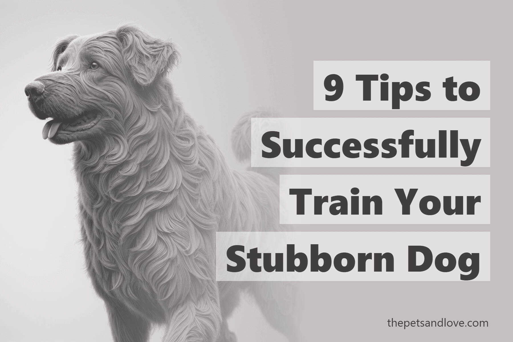 9 Tips to Successfully Train Your Stubborn Dog