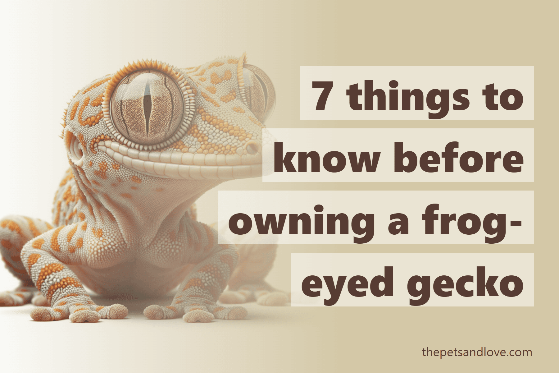 7 things to know before owning a frog-eyed gecko