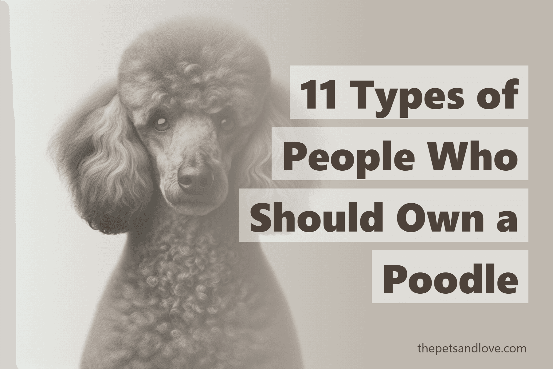 11 Types of People Who Should Own a Poodle