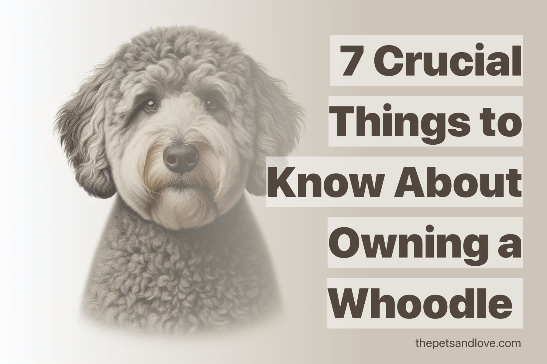 7 Essential Facts About the Whoodle Breed