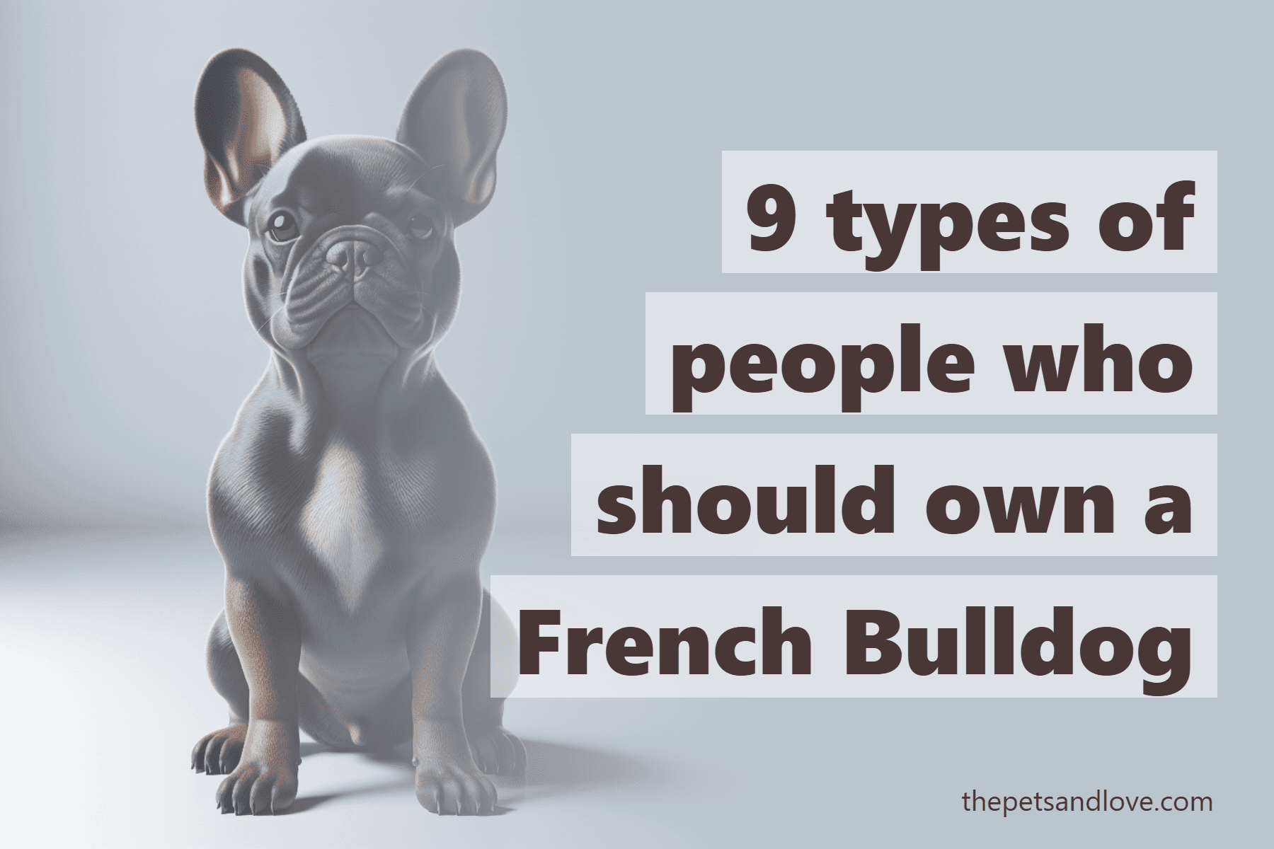9 types of people who should own a French Bulldog