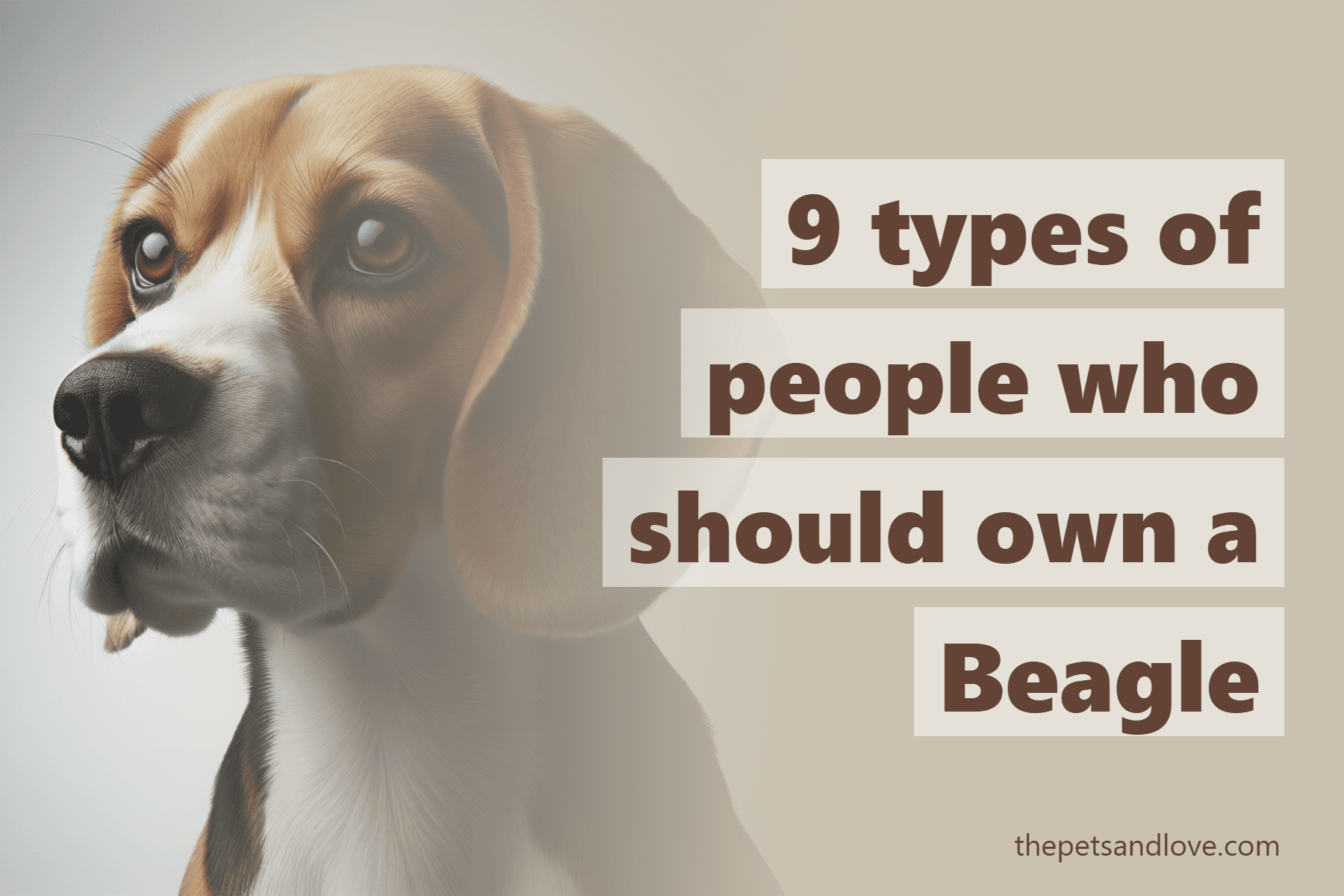 9 types of people who should own a Beagle