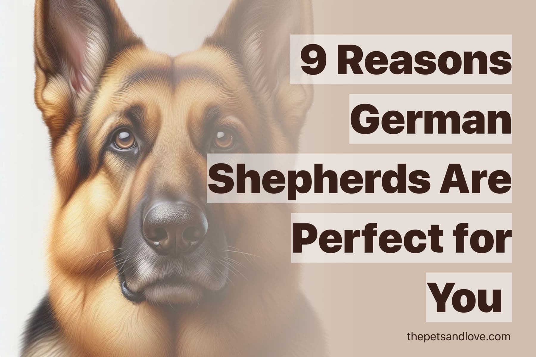 Nine Kinds of People Who Would Enjoy Having a German Shepherd as a Pet