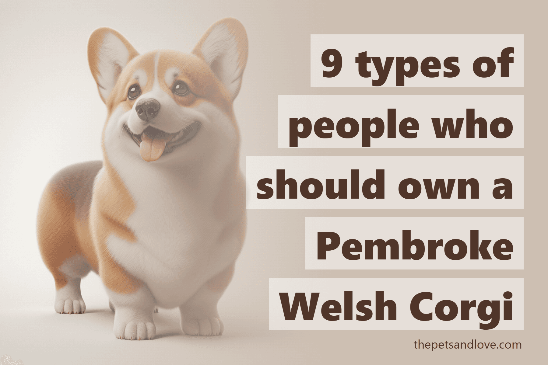 9 types of people who should own a Pembroke Welsh Corgi