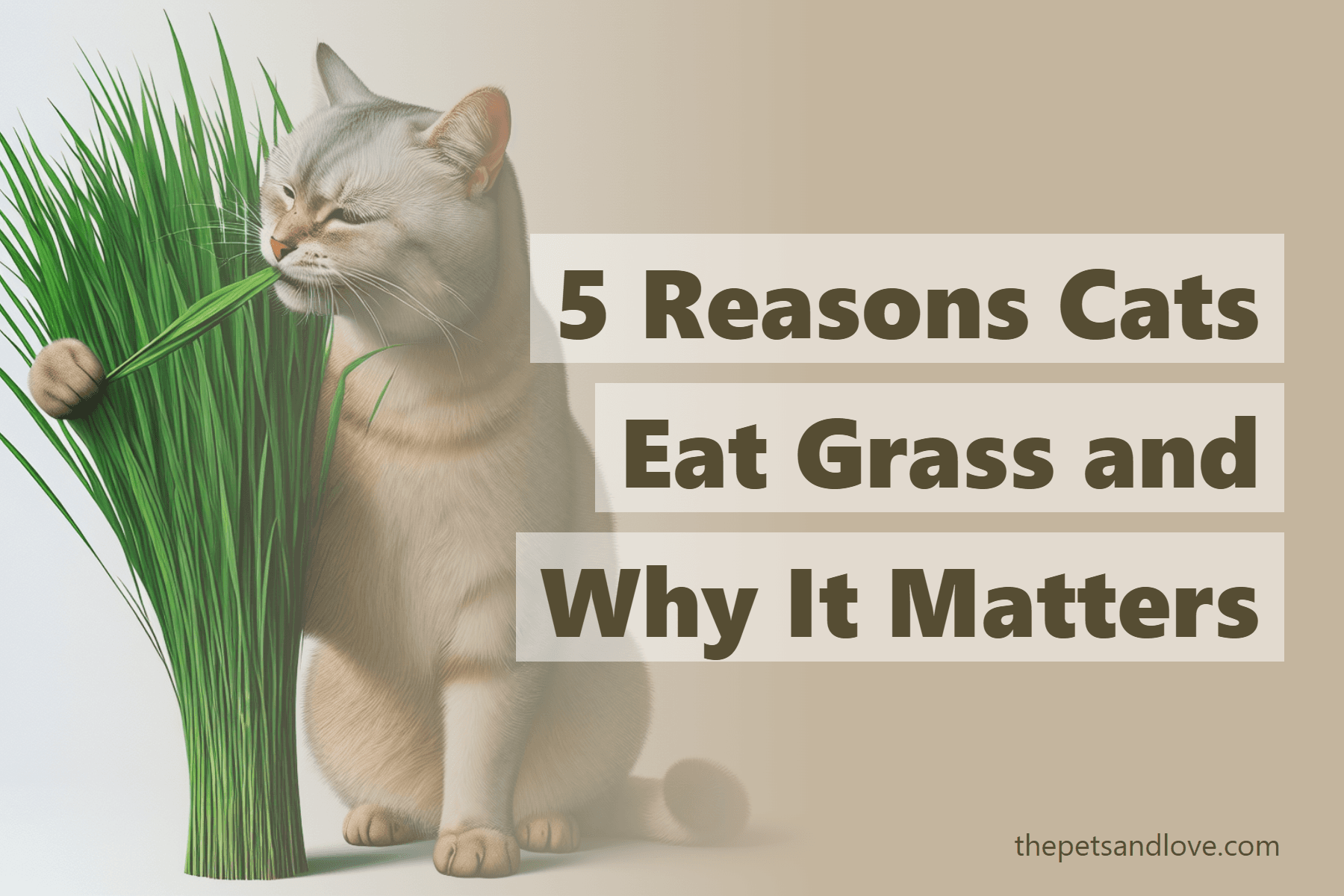 Have you ever wondered why cats eat grass?