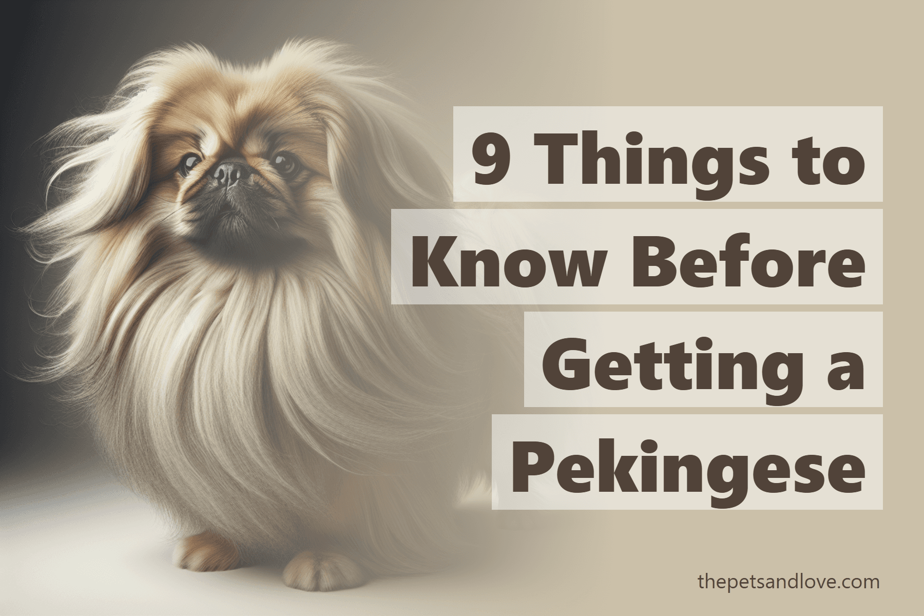 Living with a Pekingese: A Complete Guide for Pet Parents