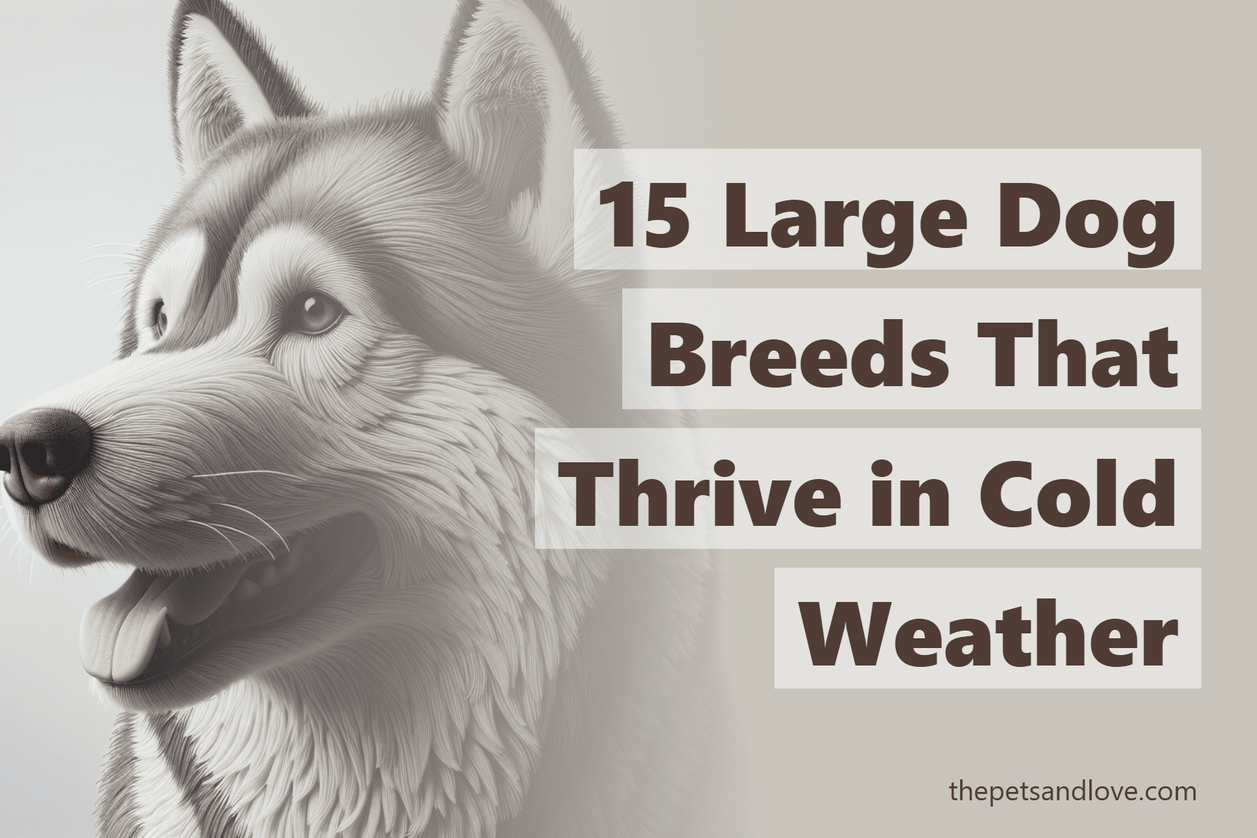 15 Large Dog Breeds That Thrive in Cold Weather