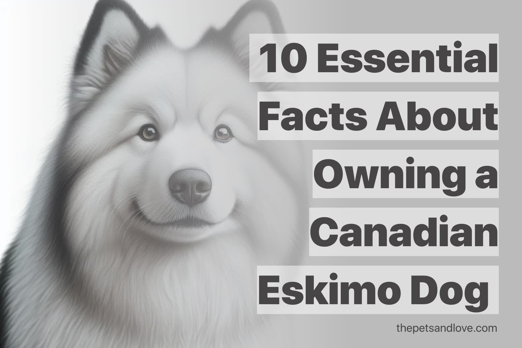 Consider These 19 Factors Before Purchasing a Canadian Eskimo Puppy