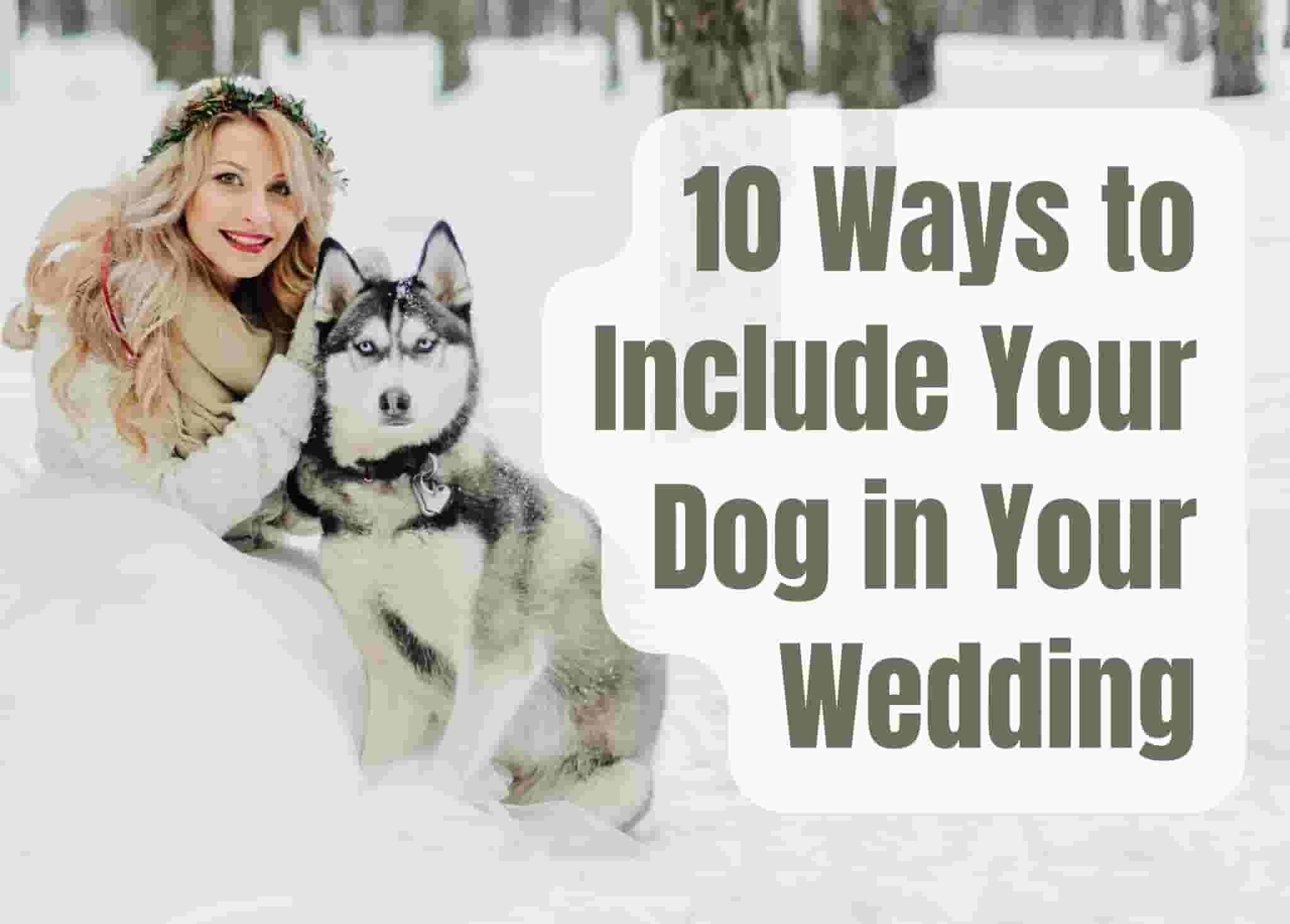 10 Ways to Include Your Dog in Your Wedding