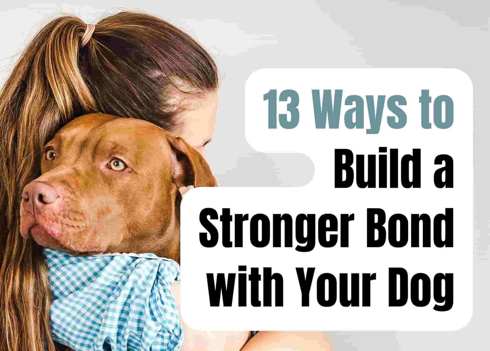 13 Ways to Build a Stronger Bond With Your Dog