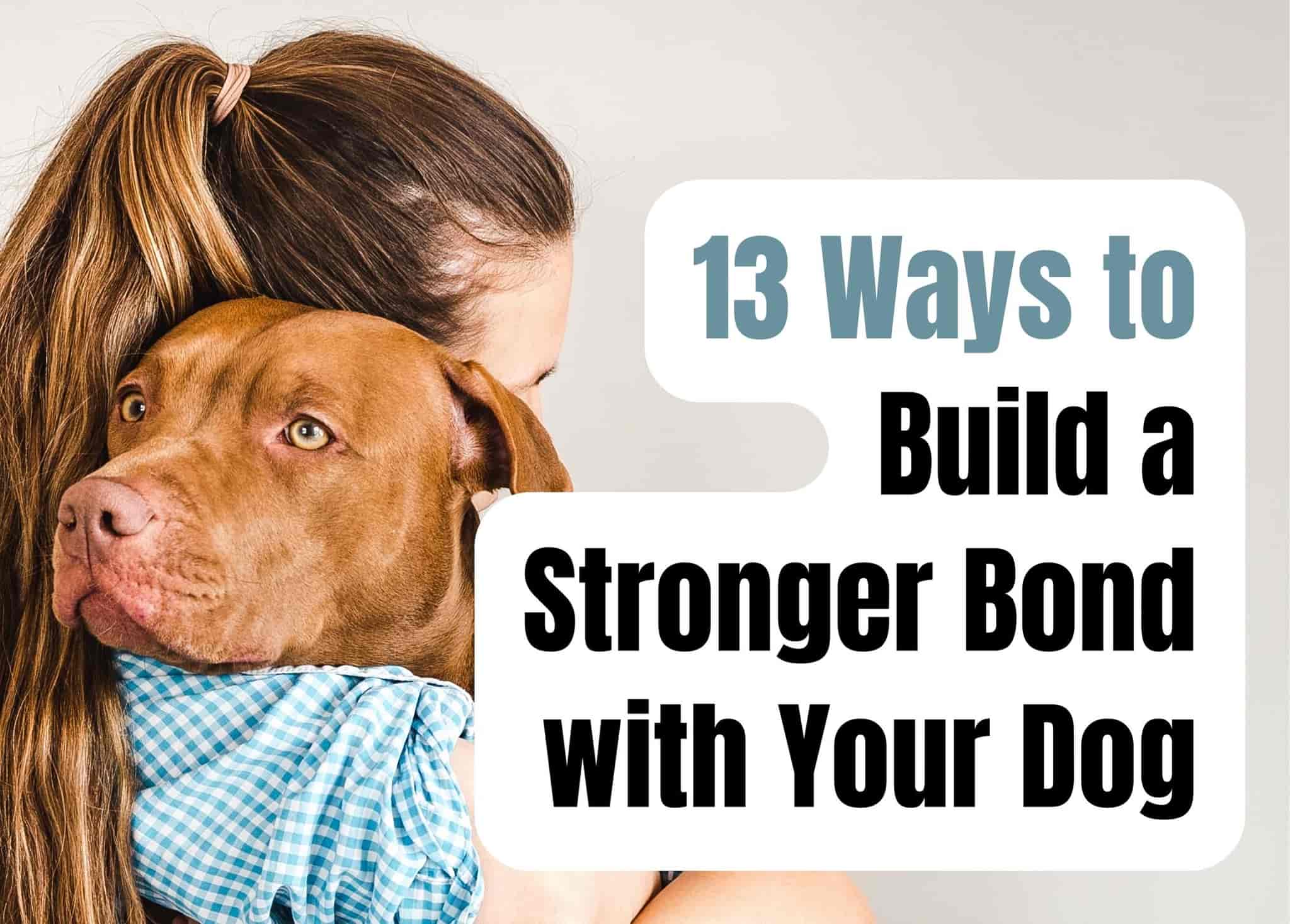 13 Ways to Build a Stronger Bond With Your Dog