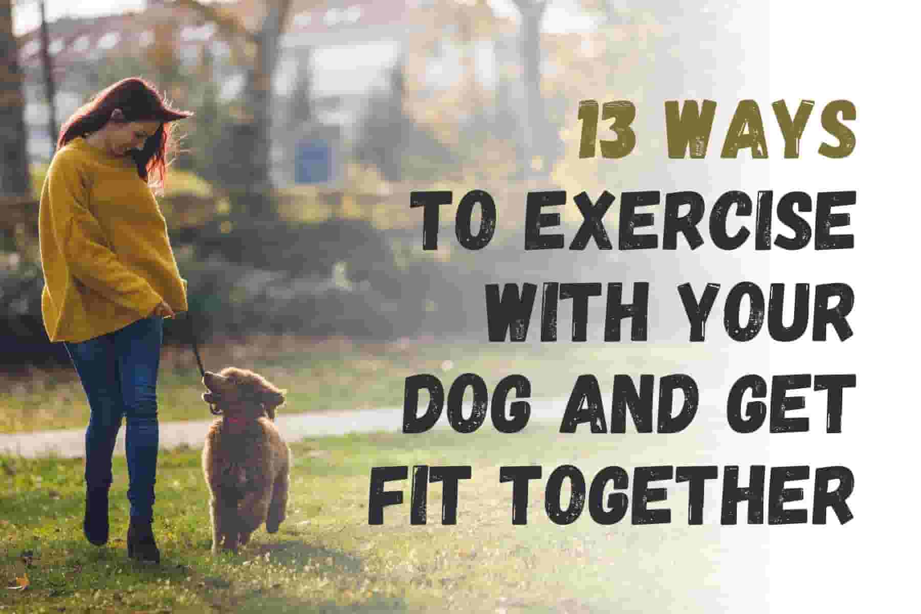 Get Fit & Bond: 13 Fun Dog Workouts