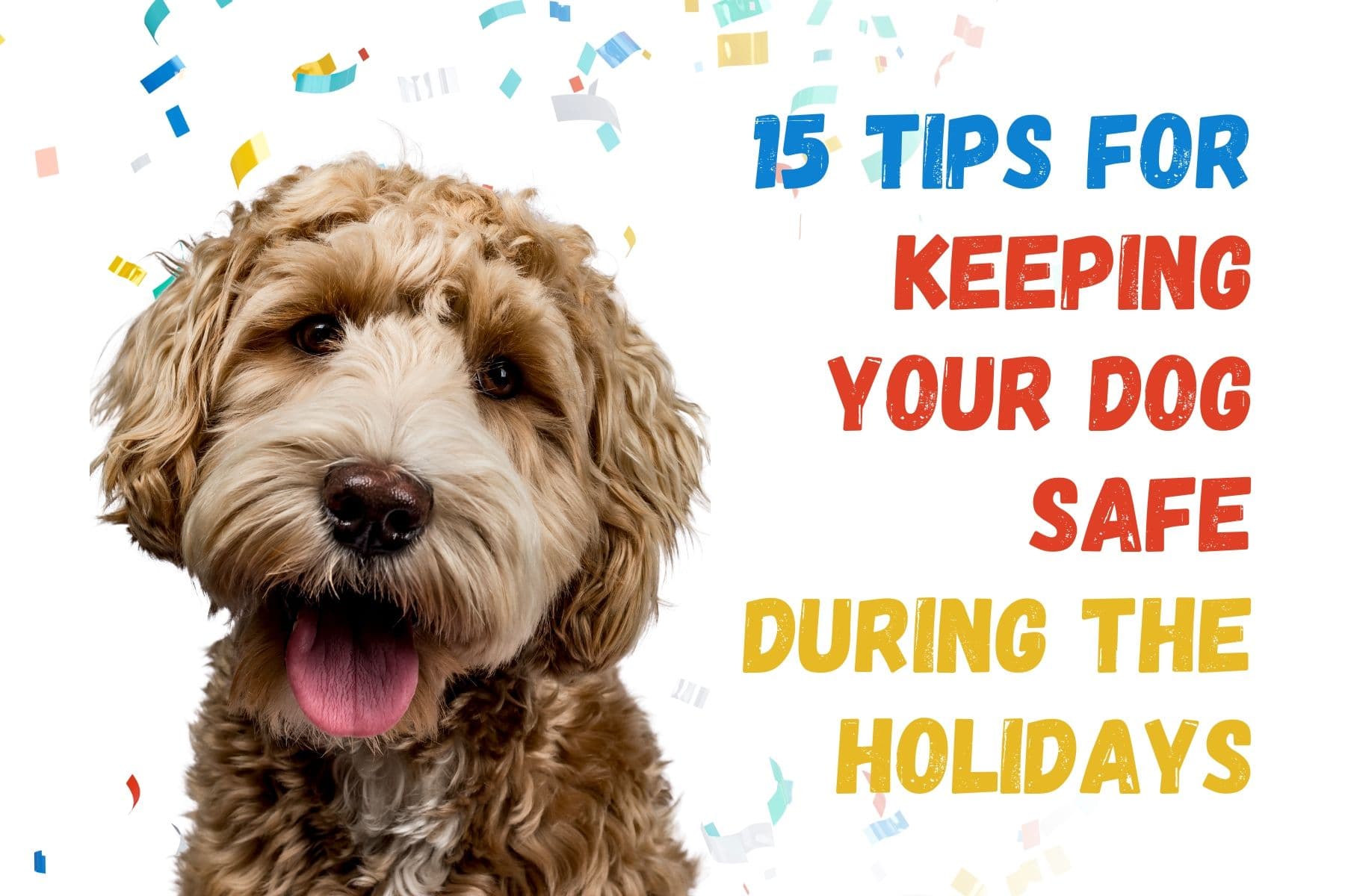 How to Keep Your Dog Safe During Holiday Celebrations