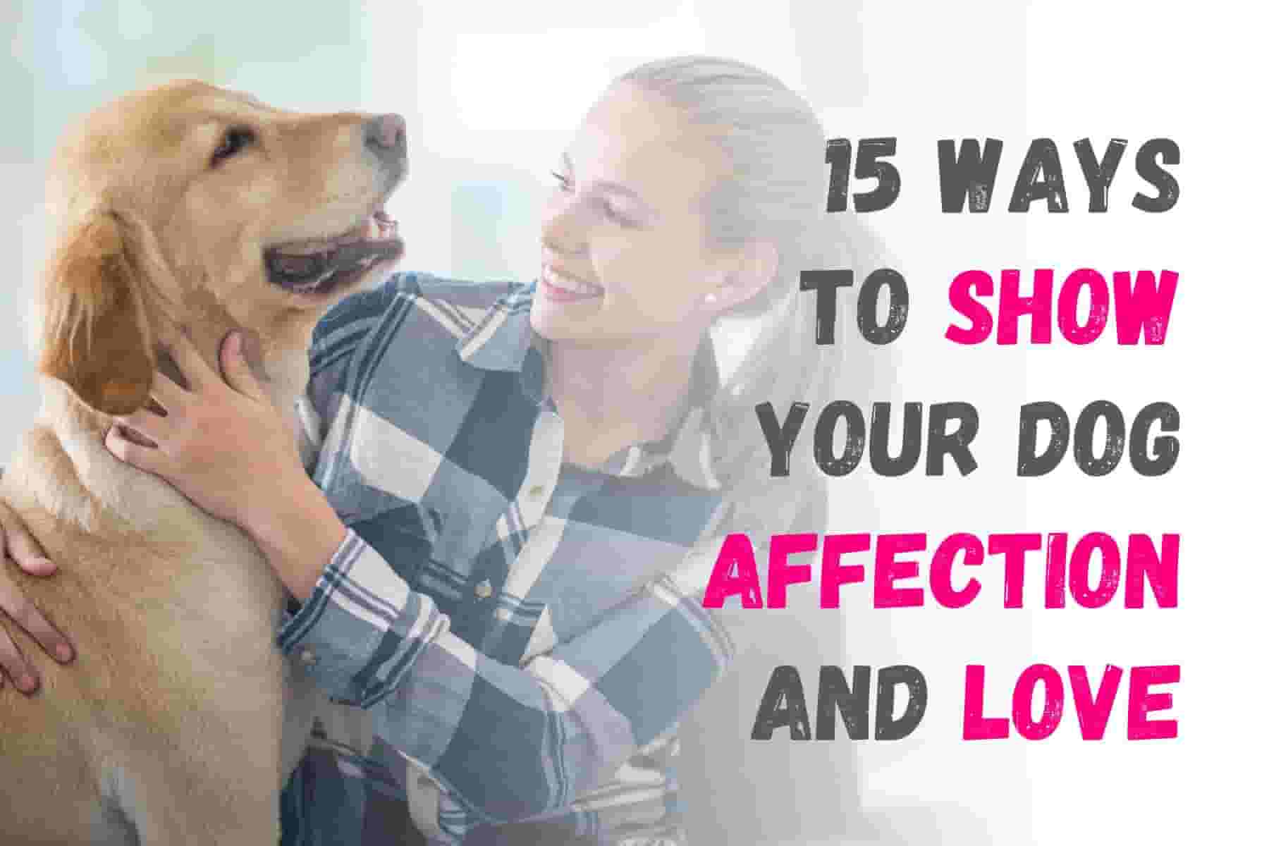 15 Ways to Show Your Dog Love and Strengthen Your Bond