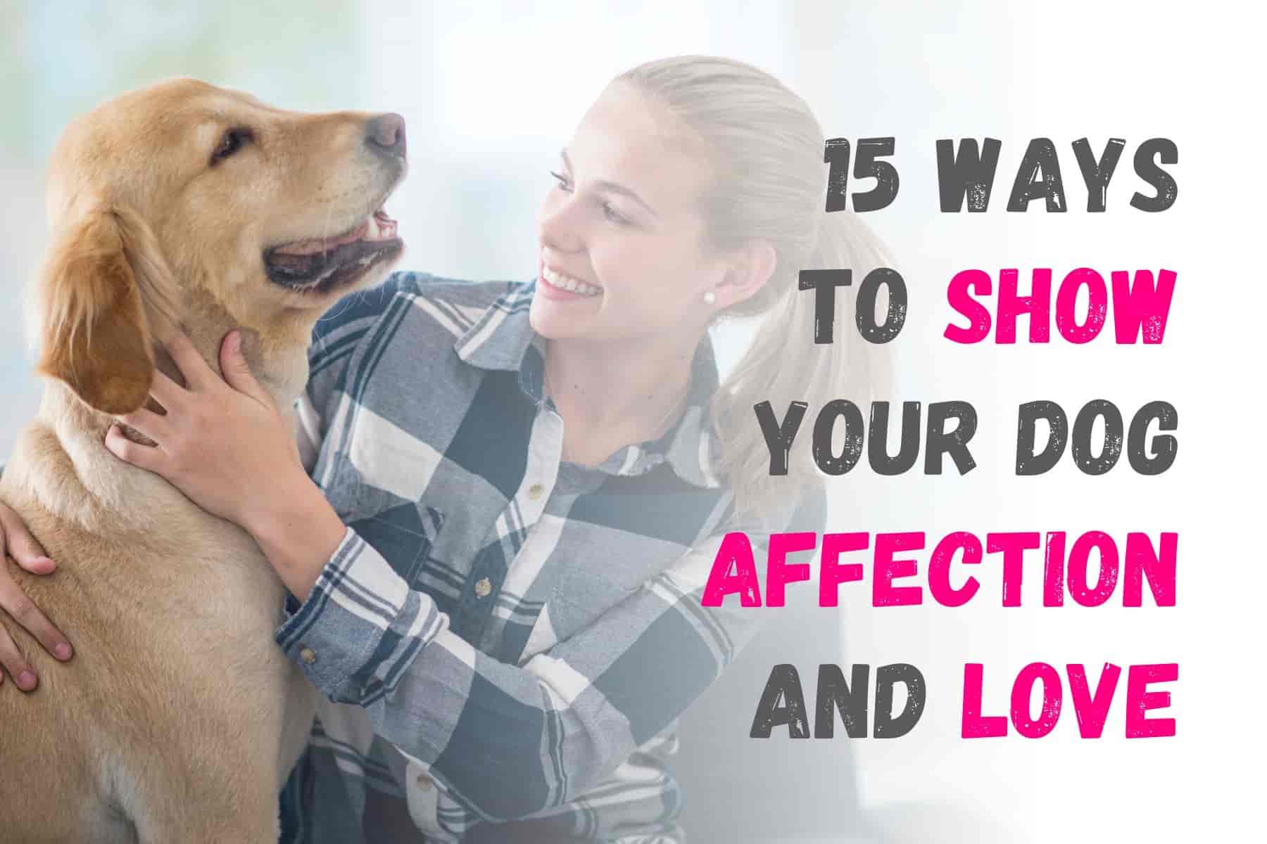 15 Ways to Show Your Dog Love and Strengthen Your Bond