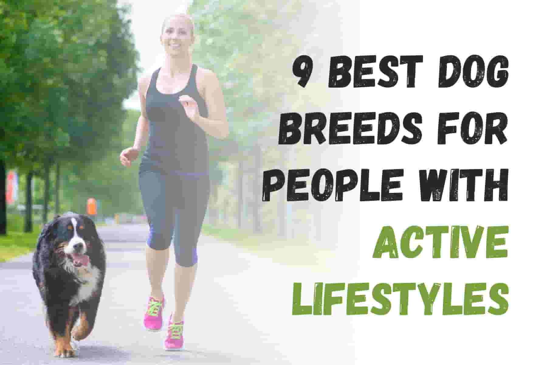 9 Dog Breeds Perfect for Active Lifestyles