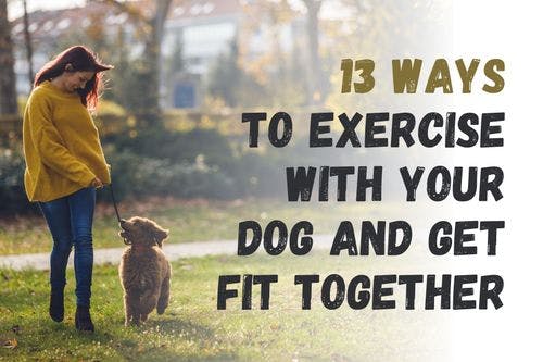 Get Fit with Your Dog: 13 Fun Exercise Ideas for You and Your Pet