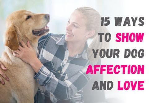 How to Show Love and Affection to Your Dog in 15 Ways