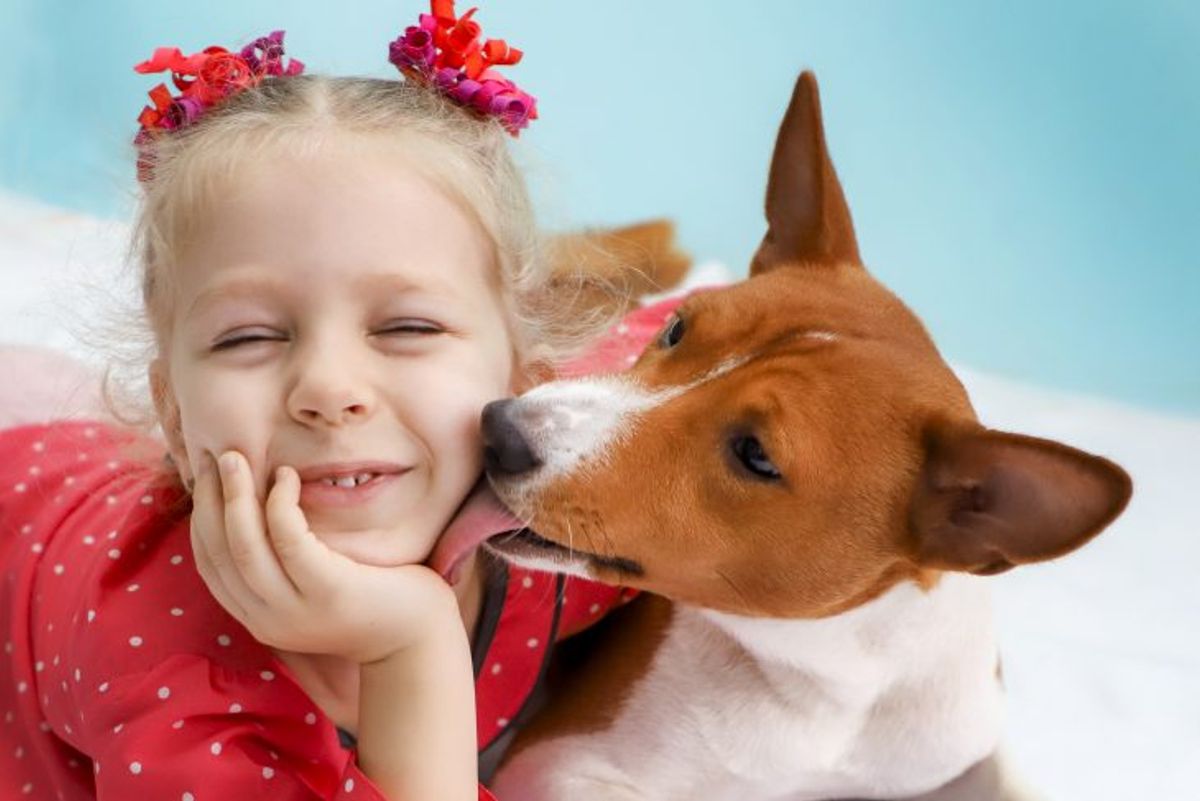Is the Basenji a Good Choice for a Family Pet?
