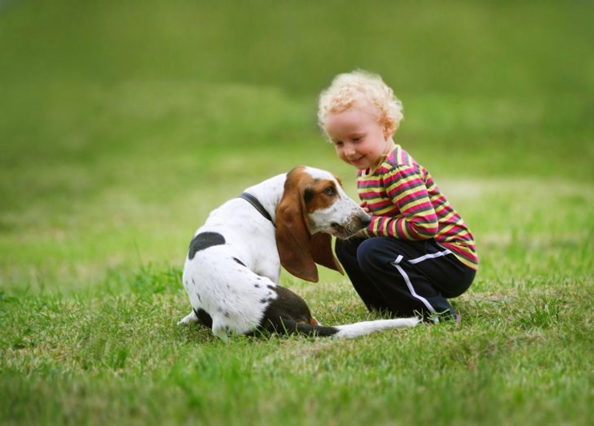 Are Basset Hounds Suitable as Family Pets?