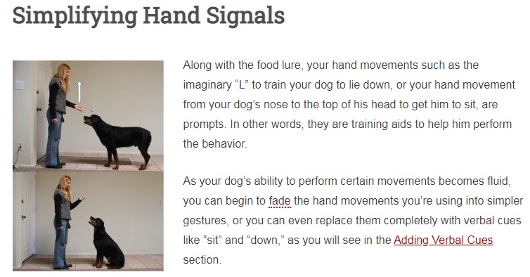 Hand signals