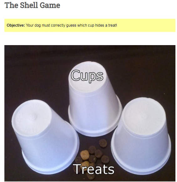 Shell Game