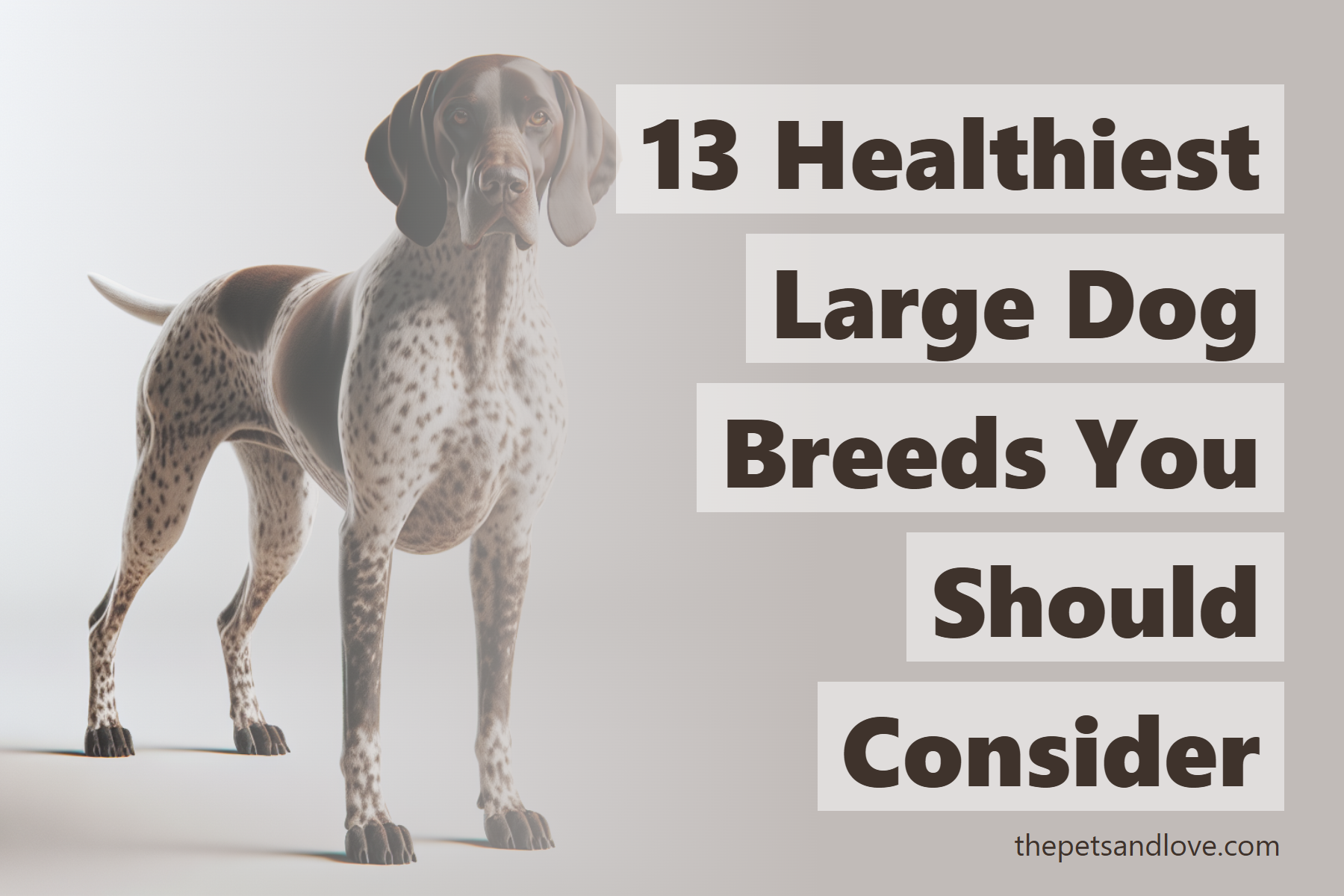Healthy large dog breeds 2025