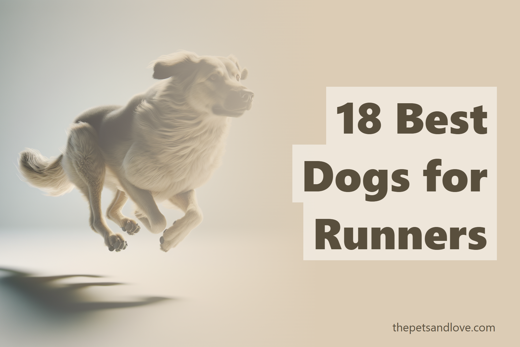 18 Best Dogs for Runners